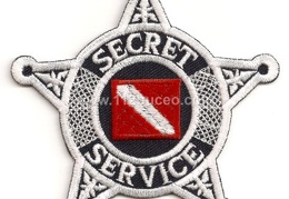 secret service dive team